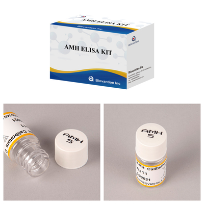 Wysoce wrażliwy hormon antymulleryjczy / zestaw AMH Elisa do dokładnego i szybkiego wykrywania choroby