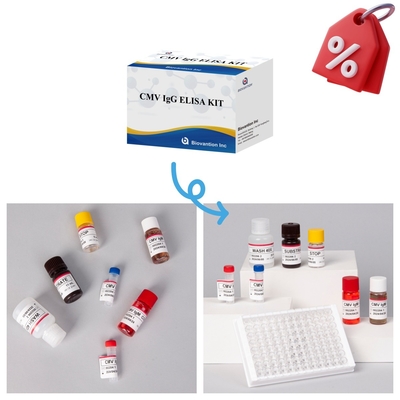 Bardzo wrażliwy zestaw testowy CMV Elisa dla dokładnych i precyzyjnych wyników