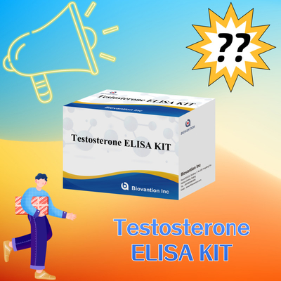 Testosteron wysokiej wydajności zestaw testowy Elisa do dokładnego ilościowego określania biomarkerów