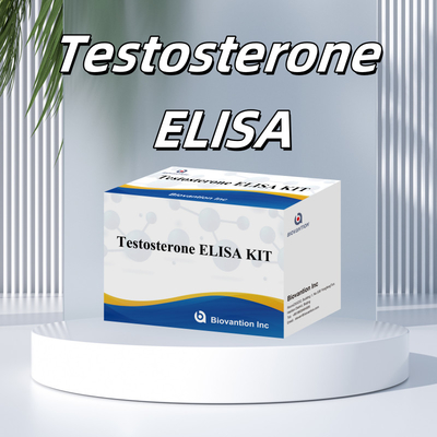 Testosteron wysokiej wydajności zestaw testowy Elisa do dokładnego ilościowego określania biomarkerów