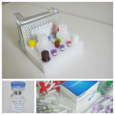Zestaw badawczy Elisa do precyzyjnego wykrywania biomarkerów