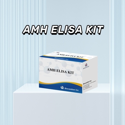 Badanie IVD Wykrycie hormonu antymulleryńskiego AMH Elisa u ludzi z testem 96