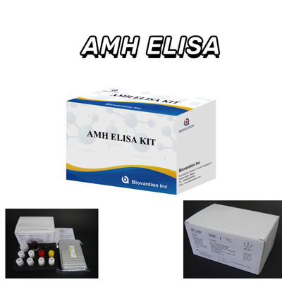 Badanie IVD Wykrycie hormonu antymulleryńskiego AMH Elisa u ludzi z testem 96