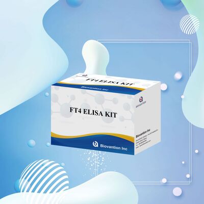 Dokładny zestaw testowy FT4 Elisa o 98% specyficzności i 95% wrażliwości na zaburzenia tarczycy (96 testów)