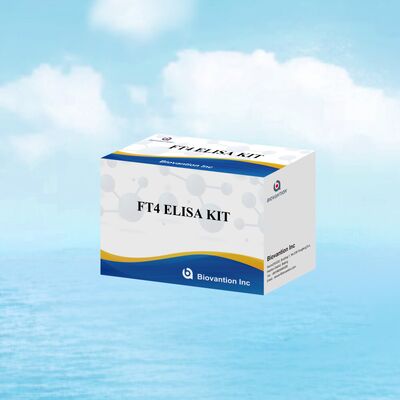 Dokładny zestaw testowy FT4 Elisa o 98% specyficzności i 95% wrażliwości na zaburzenia tarczycy (96 testów)