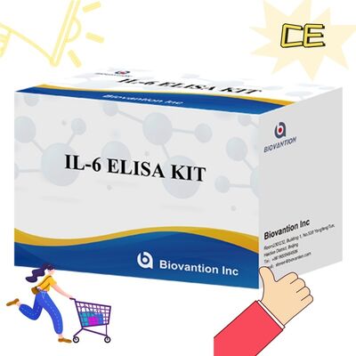 IL-6 Interleukin-6 Human ELISA Kit z dokładnością 99% 24 miesiące trwałości i 96 testów/kit