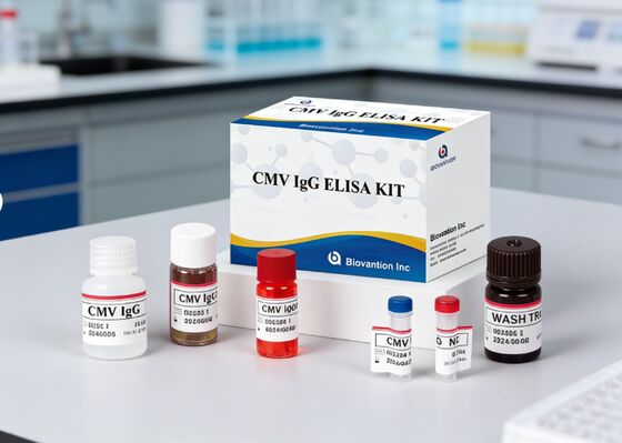 Laboratoryjne lub szpitalne zestawy testowe CMV IgG Elisa o wysokiej dokładności