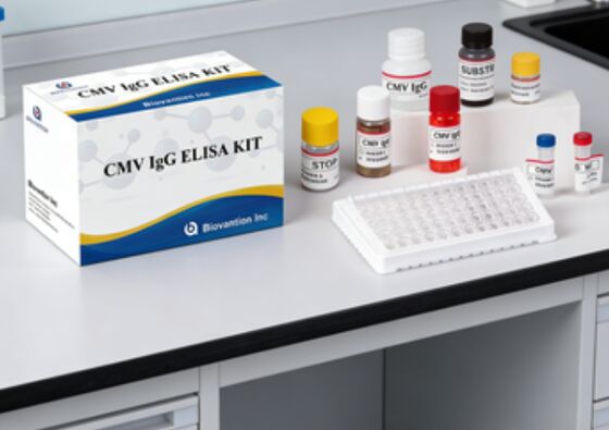 Laboratoryjne lub szpitalne zestawy testowe CMV IgG Elisa o wysokiej dokładności