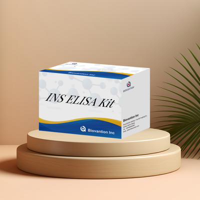 Human INS (Insulin) ELISA Kit. Insulin Quantitative Test ELISA Assay Kit, Sandwich ELISA dla surowicy plazmy 96 testów Laboratory Research Reage