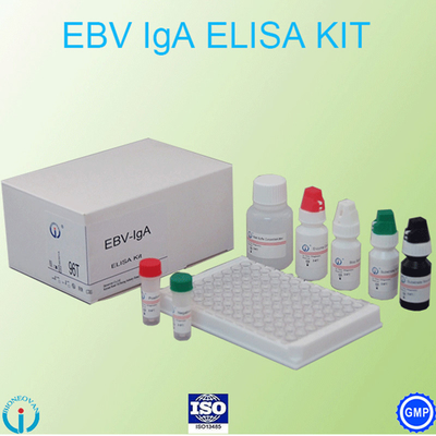 EBV-VCA IgA Ab Test Zestaw ELISA Test enzymatyczny Test osocza Próbka osocza