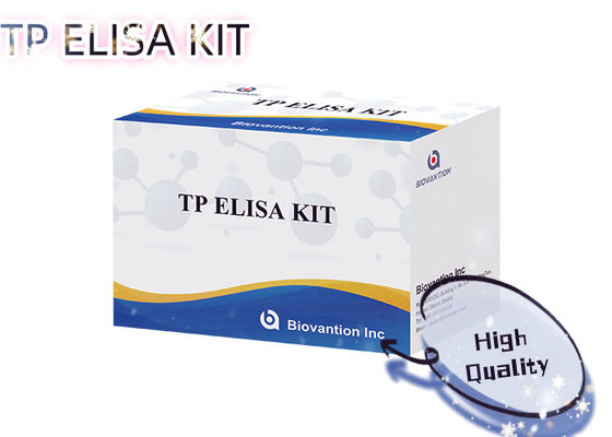 Zestaw badawczy TP ELISA 96T na syfilis Treponema pallidum Wykrycie przeciwciał Serum ludzkie