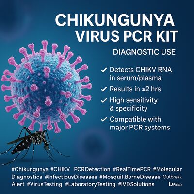 PCR Chikungunya Virus Test Kit Manual Use Plastic Housing 24-miesięczna stabilność