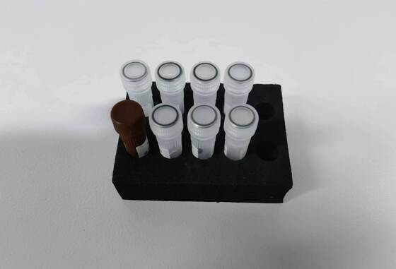 Test PCR na Dengę wysokiej jakości, wykrywanie z 48 testami