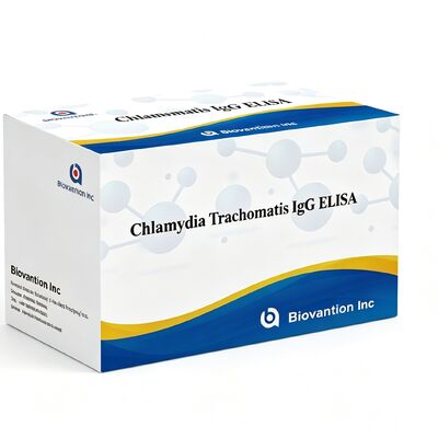 Przeciwciała przeciwko Chlamydia trachomatis (Ct) IgG ELISA Test Kit Serum/Plasma