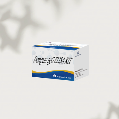 Zestaw badawczy IgG ELISA dla wirusa dengue u ludzi 96T Ilościowe wykrycie przeciwciał IgG
