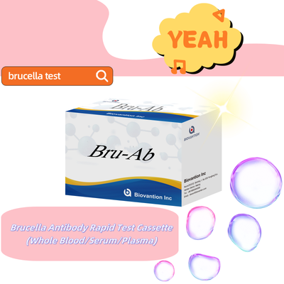 Human Brucella IgG/IgM Antybody ELISA Kit Bruceloza Serum Diagnostyczne ELISA Test Kit dla wykrywania próbek ludzkich